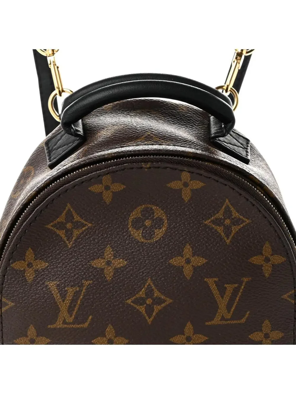 Louis Vuitton Palm Springs Backpack #321879L13B